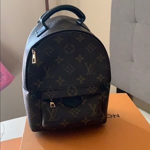 Louis Vuitton Palm Springs backpack mini